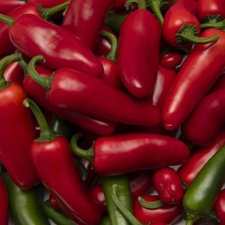Jumbo F1 profi jalapeno paprika vetőmag