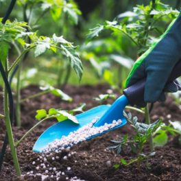 Vízben oldódó öntöző műtrágyák